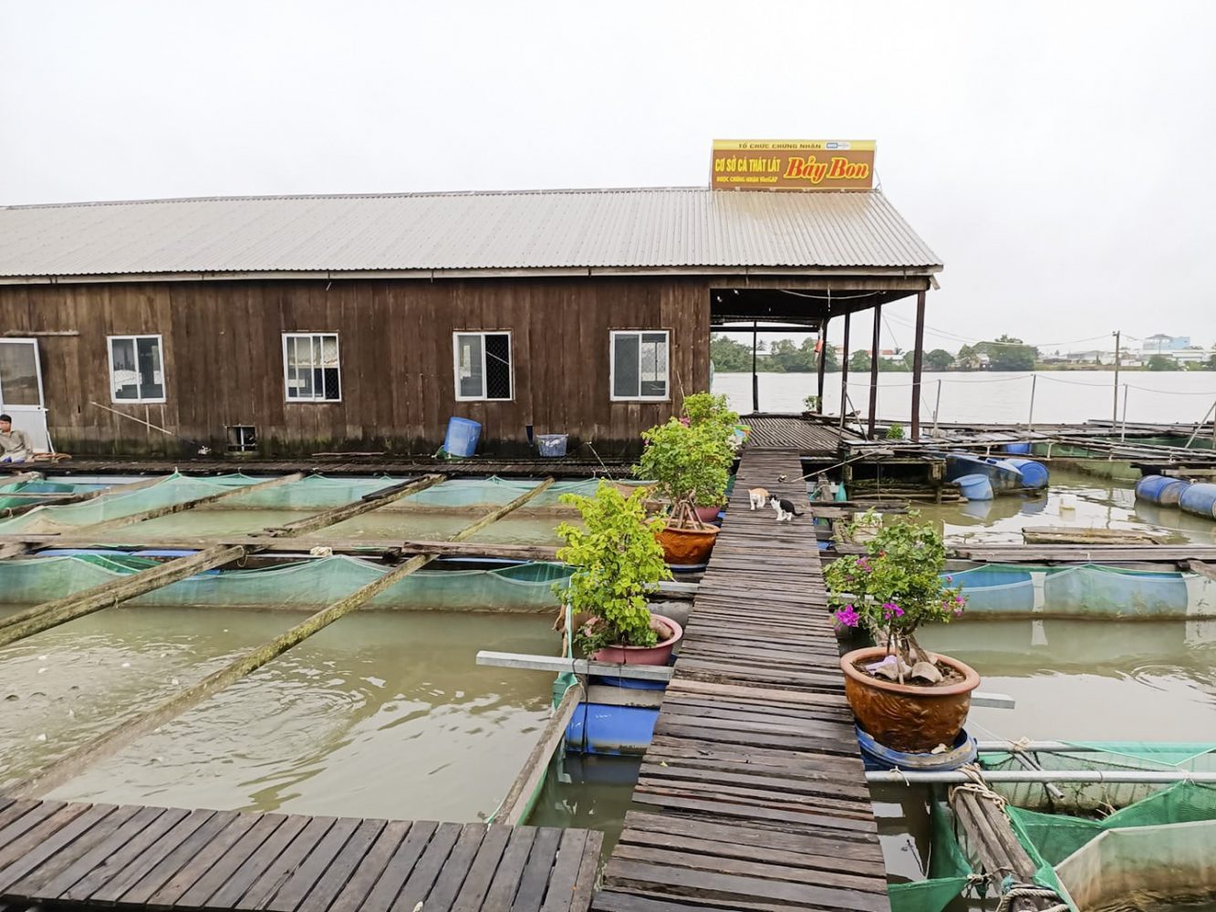 My project at Delta Mekong
